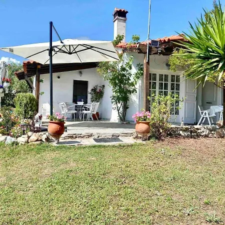 Traditional House