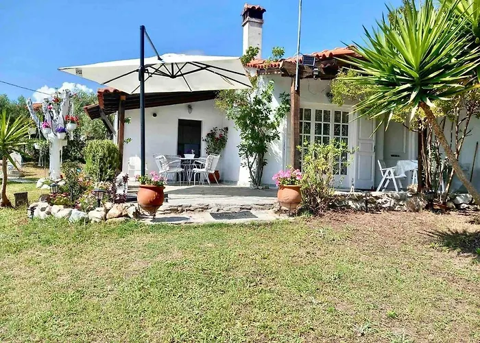 Traditional House
