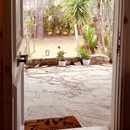 Traditional House